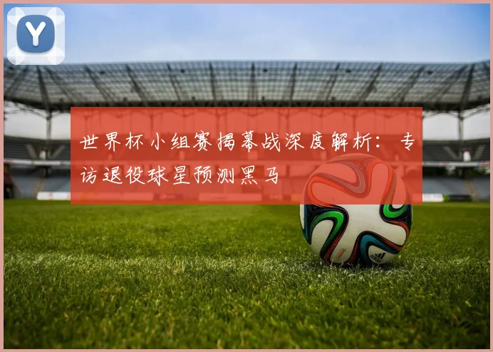 世界杯小组赛揭幕战深度解析:专访退役球星预测黑马