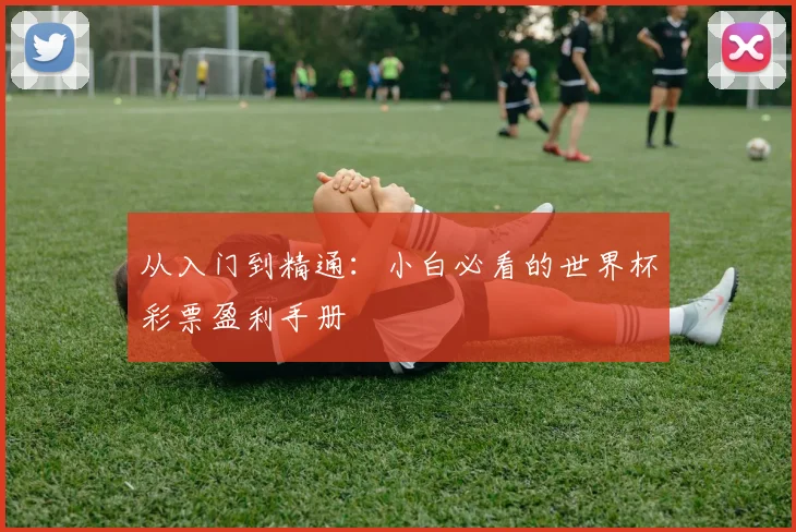 从入门到精通:小白必看的世界杯彩票盈利手册