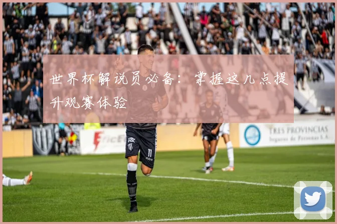 世界杯解说员必备：掌握这几点提升观赛体验