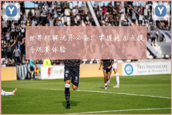 世界杯解说员必备：掌握这几点提升观赛体验