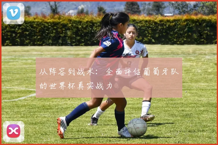 从阵容到战术:全面评估葡萄牙队的世界杯真实战力