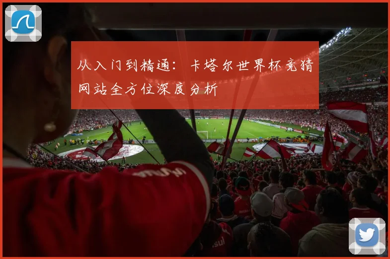 从入门到精通：卡塔尔世界杯竞猜网站全方位深度分析