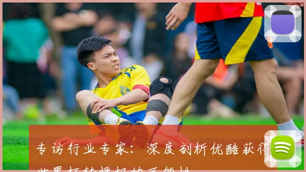 专访行业专家：深度剖析优酷获得世界杯转播权的可能性。
