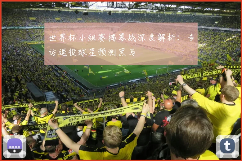 世界杯小组赛揭幕战深度解析:专访退役球星预测黑马