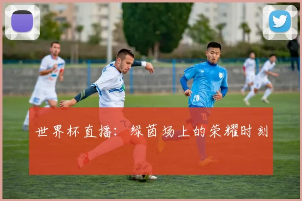 世界杯直播:绿茵场上的荣耀时刻