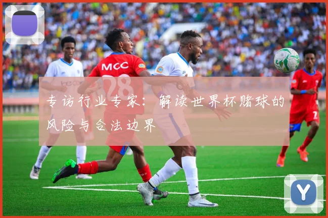 专访行业专家:解读世界杯赌球的风险与合法边界