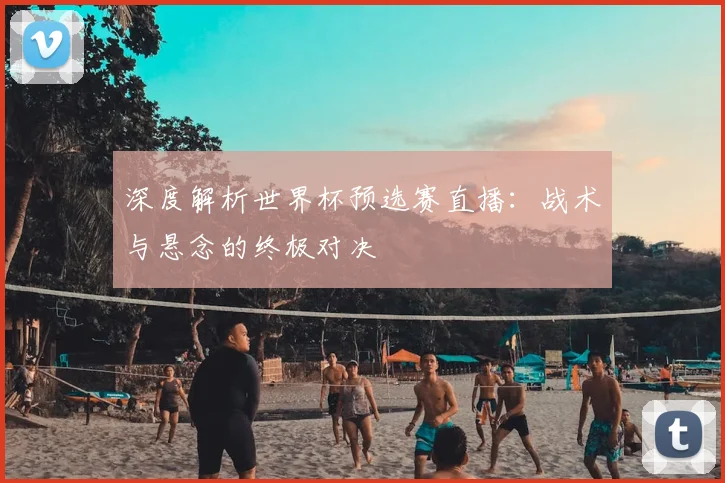 深度解析世界杯预选赛直播：战术与悬念的终极对决