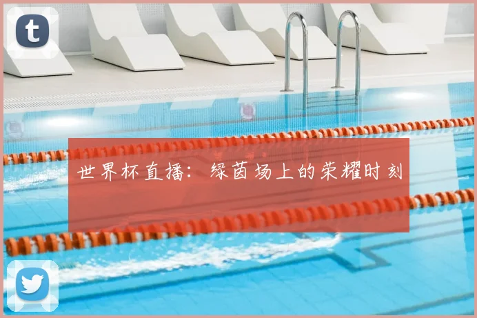 世界杯直播:绿茵场上的荣耀时刻