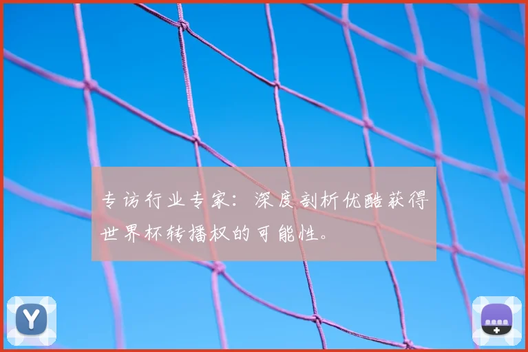 专访行业专家:深度剖析优酷获得世界杯转播权的可能性。
