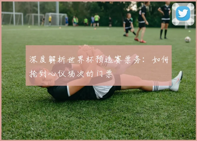 深度解析世界杯预选赛票务：如何抢到心仪场次的门票