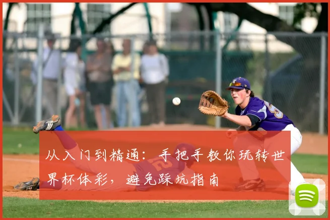 从入门到精通:手把手教你玩转世界杯体彩,避免踩坑指南